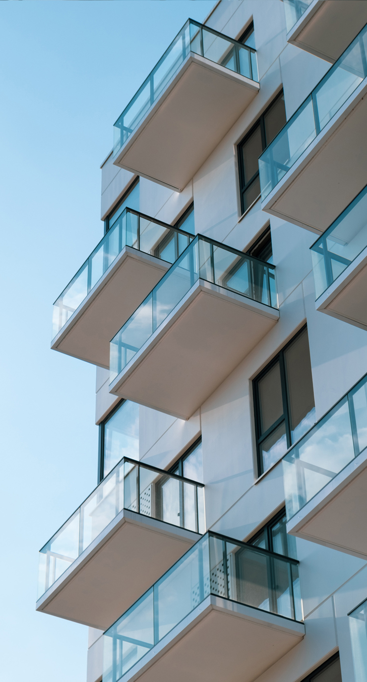 pexels-jovydas-pinkevicius-2462015